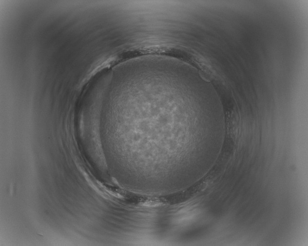 X0000080660742200612151130