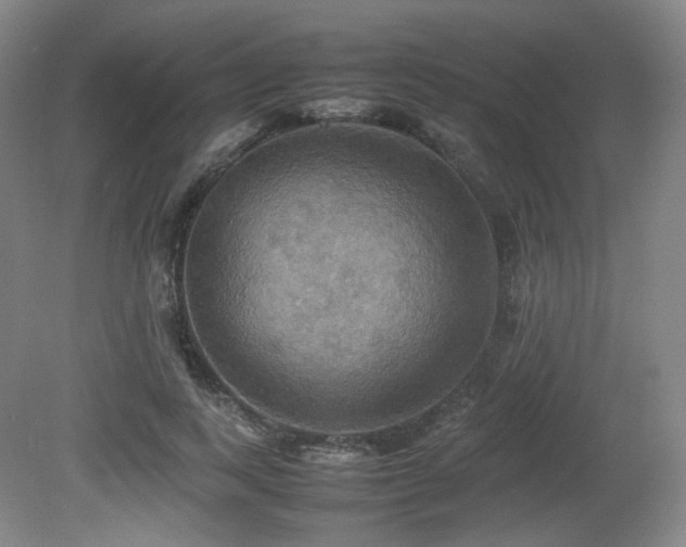 X0000080660743200612151130