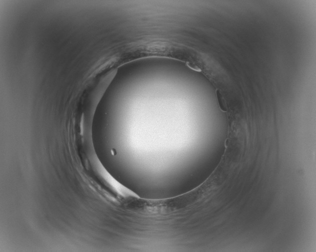 X0000080660744200612151130