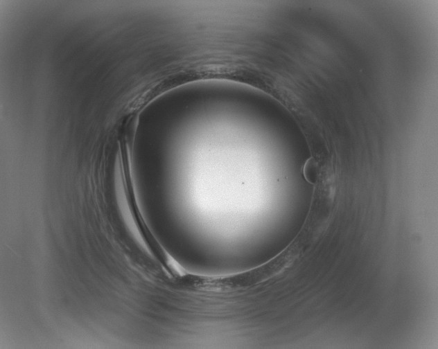 X0000080660746200612151131