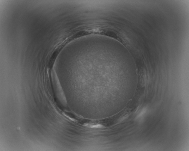 X0000080660747200612151131