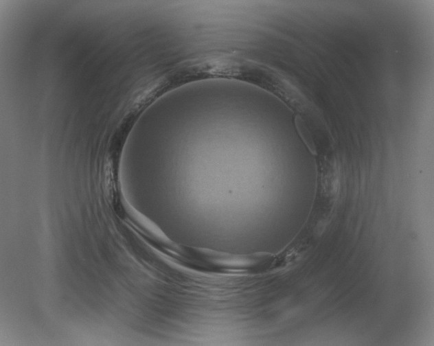 X0000080660748200612151131