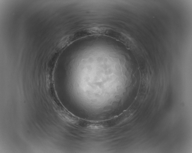 X0000080660749200612151131