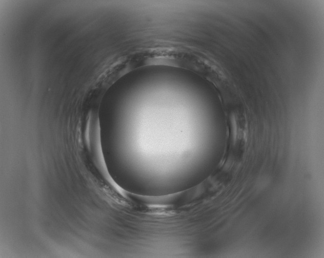X0000080660750200612151131