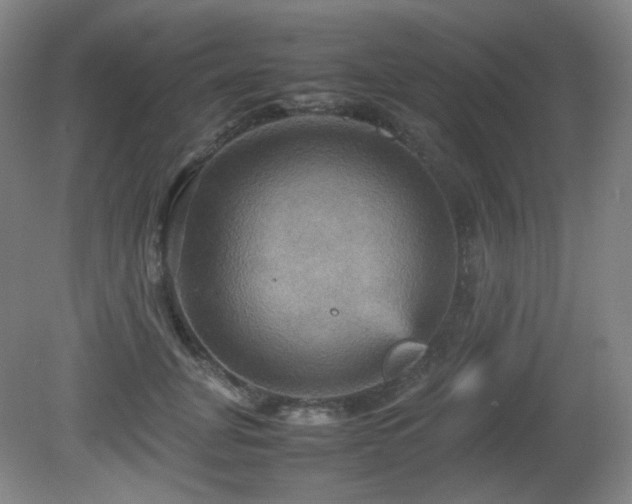 X0000080660751200612151131