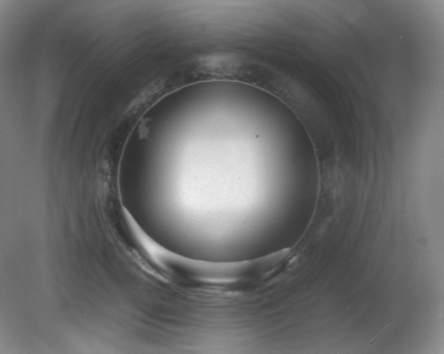 X0000080660752200612151131