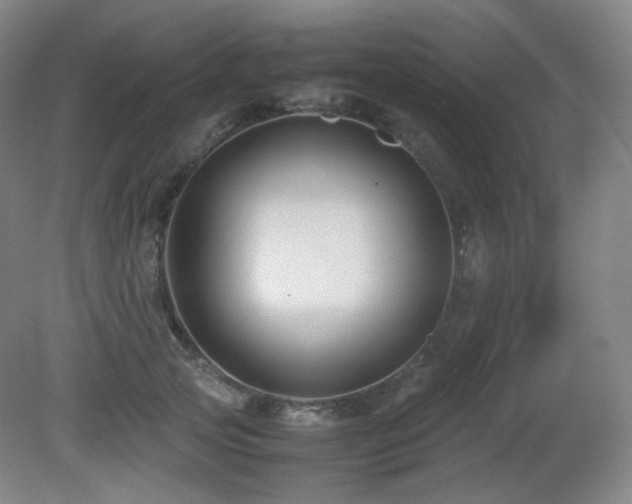 X0000080660753200612151131