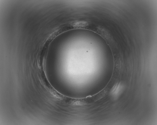 X0000080660755200612151131