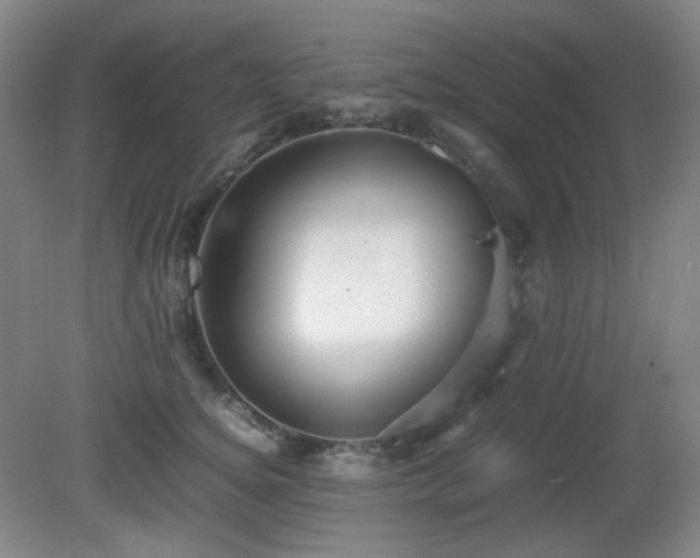 X0000080660756200612151131