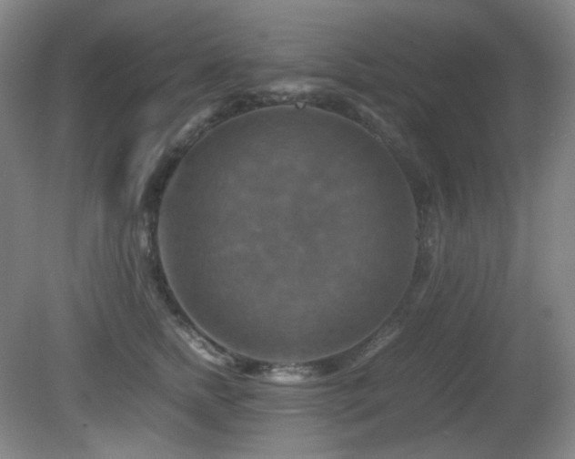 X0000080660758200612151131