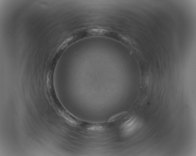 X0000080660759200612151131