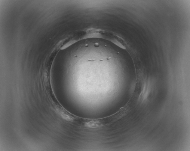 X0000080660761200612151131