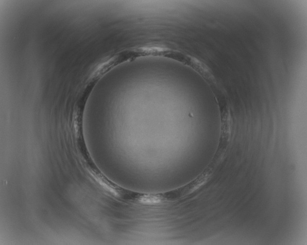 X0000080660762200612151131