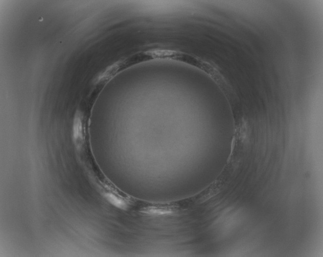 X0000080660763200612151131