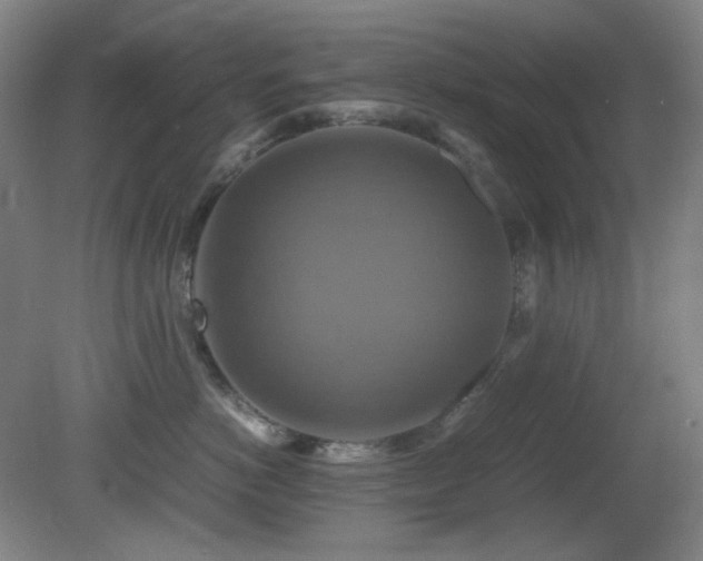 X0000080660766200612151131