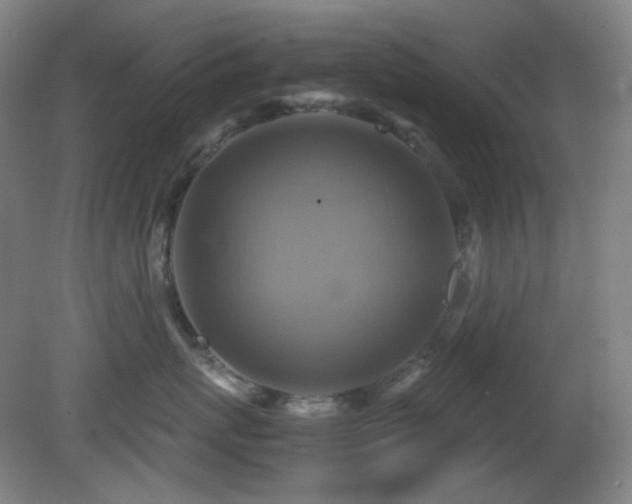 X0000080660767200612151131