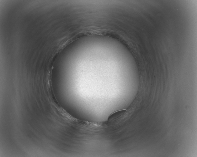X0000080660768200612151131
