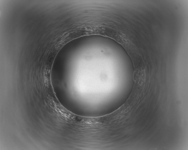 X0000080660770200612151130