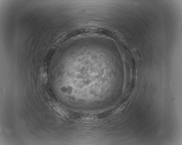 X0000080660771200612151130