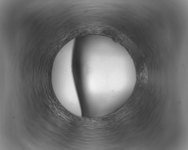 X0000080660772200612151130