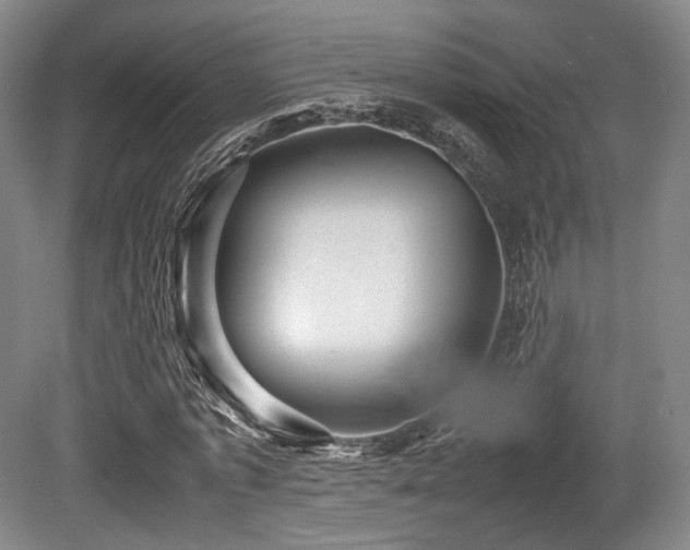 X0000080660773200612151130