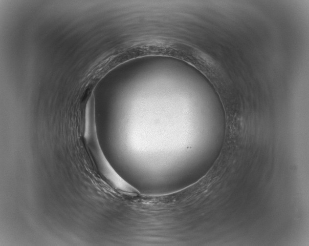 X0000080660774200612151130