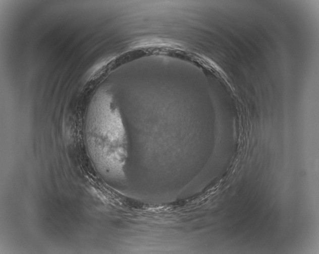 X0000080660775200612151130
