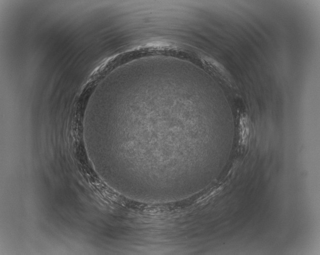 X0000080660776200612151130