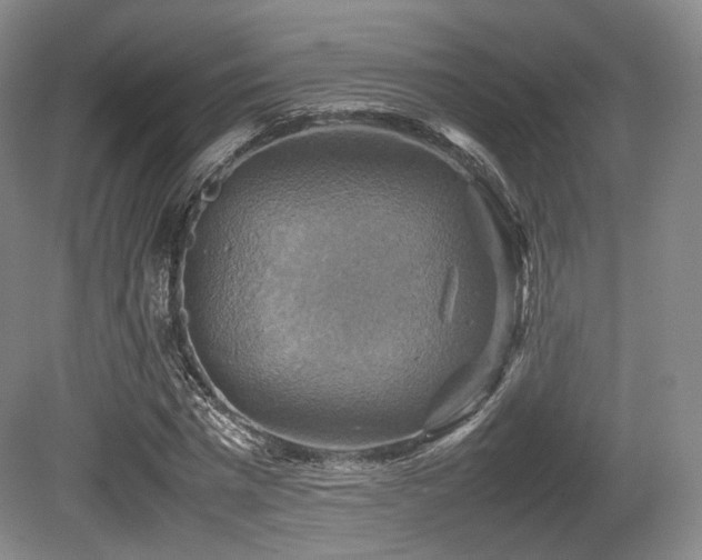 X0000080660777200612151130