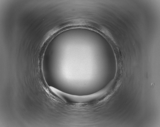 X0000080660781200612151130