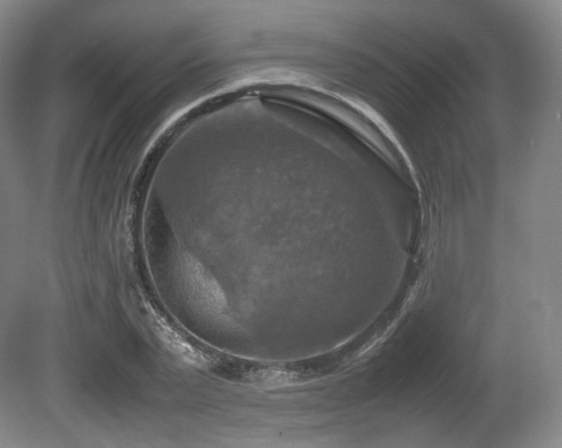 X0000080660783200612151130
