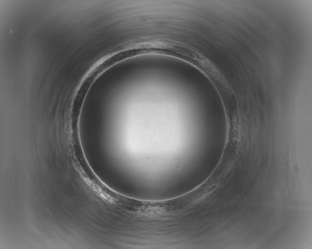 X0000080660784200612151130
