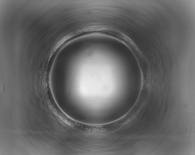X0000080660786200612151130
