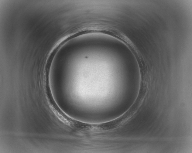 X0000080660787200612151130