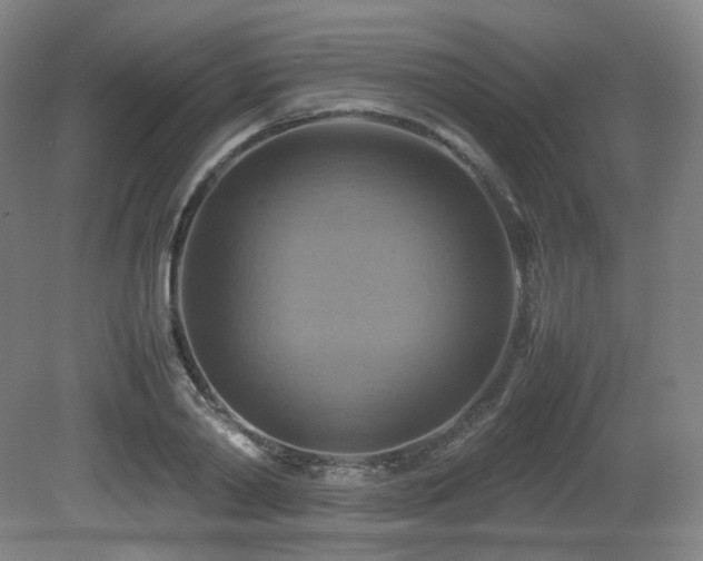 X0000080660790200612151130