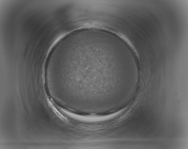 X0000080660791200612151130