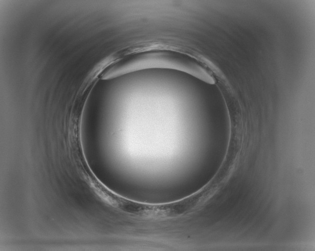X0000080660793200612151130