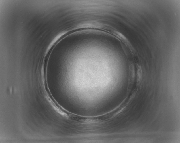X0000080660796200612151130