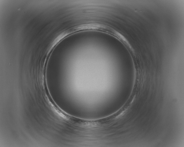 X0000080660802200612151130
