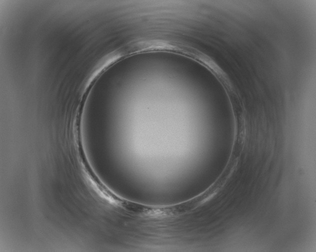X0000080660806200612151129