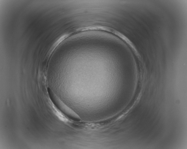 X0000080660809200612151129