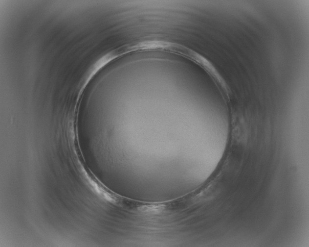 X0000080660810200612151129