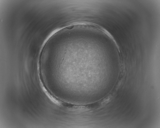 X0000080660811200612151129