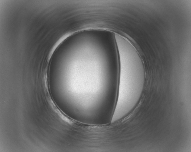 X0000080660812200612151129