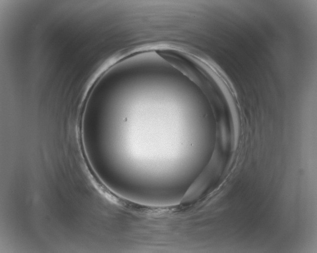 X0000080660813200612151129