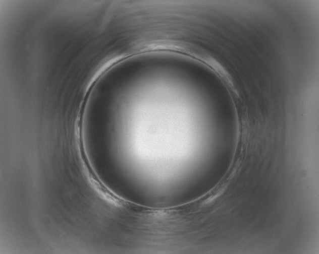 X0000080660814200612151129