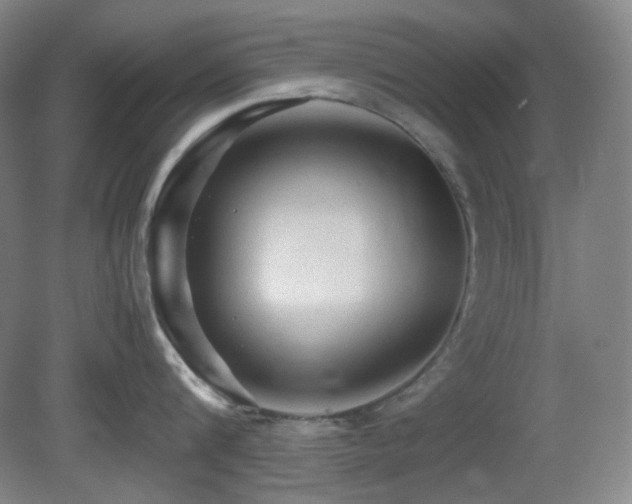 X0000080660816200612151129