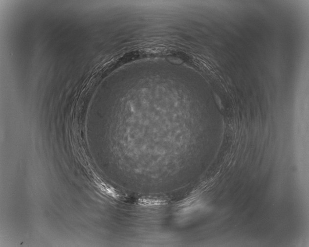 X0000080660817200612151128