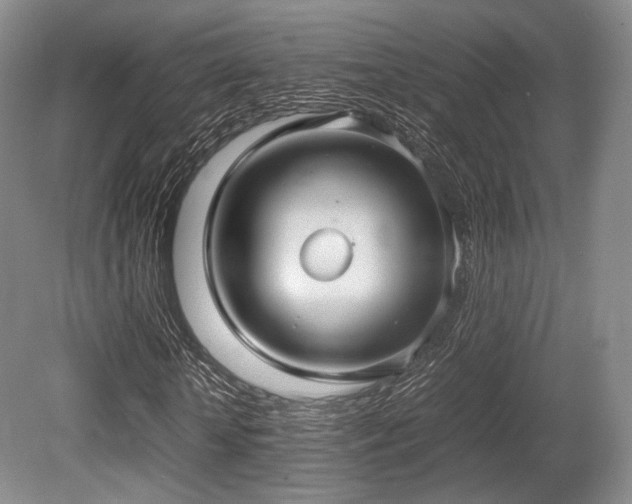 X0000080660818200612151128