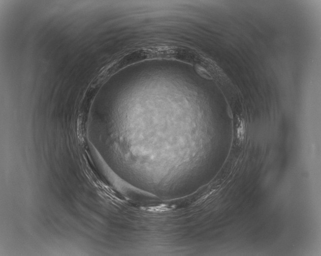 X0000080660819200612151129